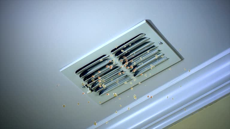 Best Commercial Air Duct Cleaning  in Flowood, MS